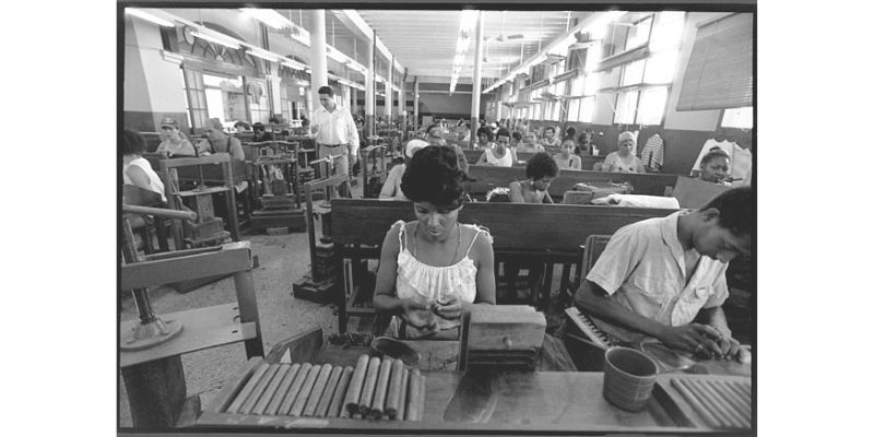 Cuban cigar factory 