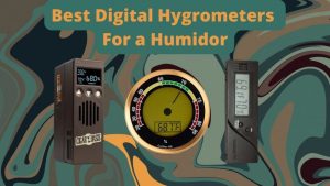best digital hygrometer for humidors