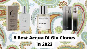 8 Best Acqua Di Gio Clones