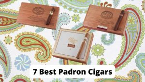 Best Padron Cigars