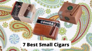 Best Small Cigars