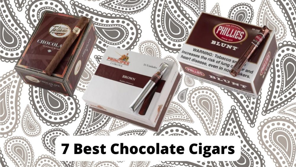 7 Best Chocolate Cigars v1