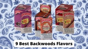 9 Best Backwoods Flavors