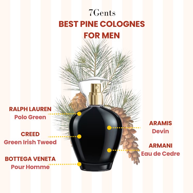 Best Pine Colognes For Men