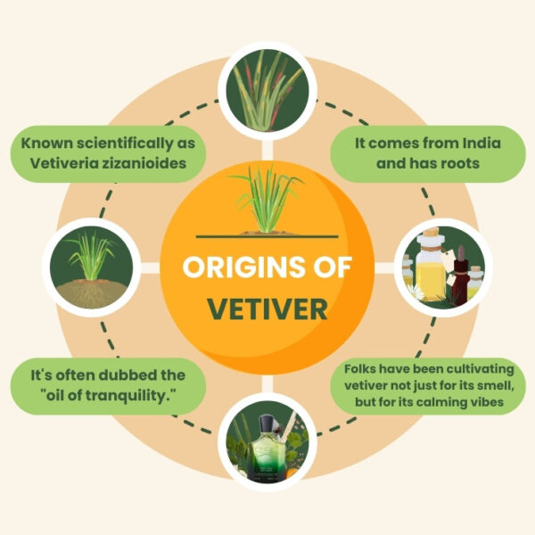 What Does Vetiver Smell Like? 7Gents