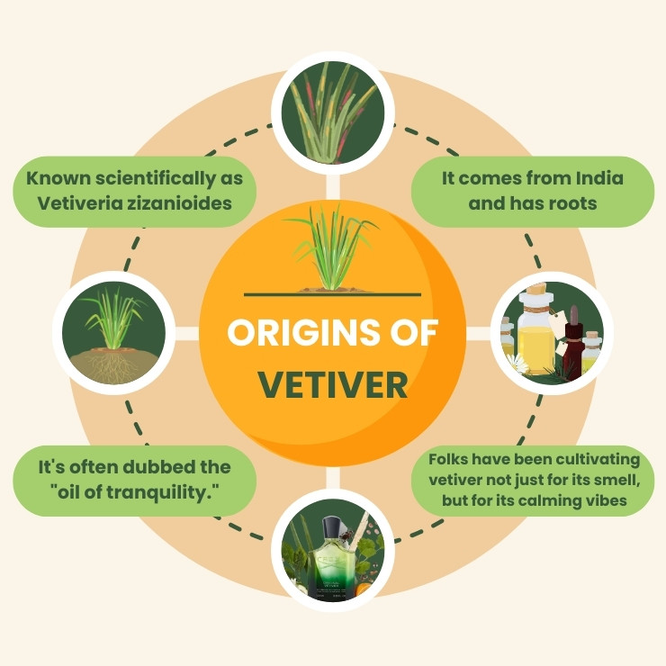 Origins of Vetiver